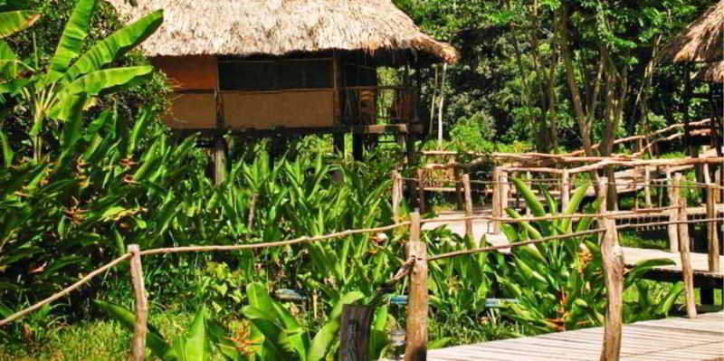 Cotton Tree Lodge San Felipe  Exterior foto