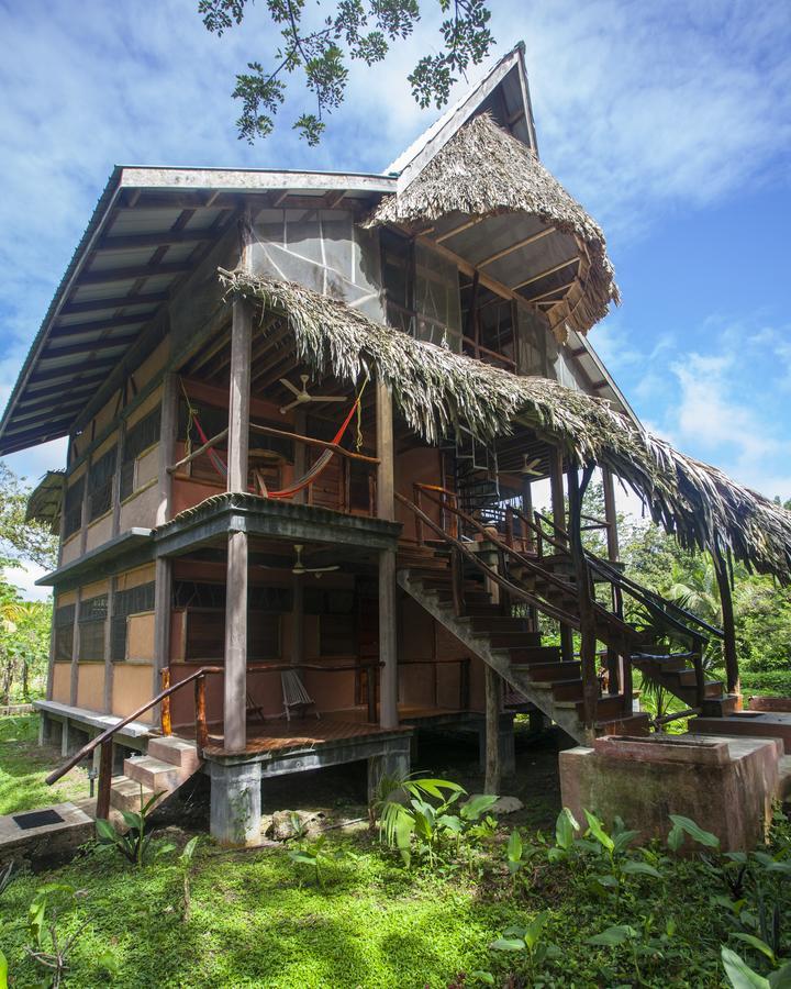 Cotton Tree Lodge San Felipe  Exterior foto